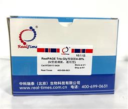 4-15%RealPAGE Tris-Glycine预制胶（塑料板） 11孔