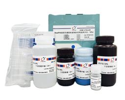RealPAGE 彩色PAGE凝胶快速制备试剂盒（一步法）6%