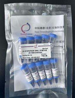 2×非变性PAGE  DNA上样缓冲液